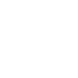 social-media social media marketing icon